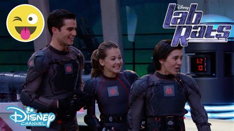 gostream lab rats
